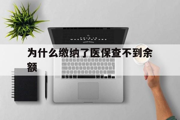 海宁最新为什么缴纳了医保查不到余额方法分析(最方便真实的海宁医保交了费怎么查不到方法)