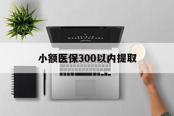 海宁最新小额医保300以内提取方法分析(最方便真实的海宁小额医保300以内提取中介方法)